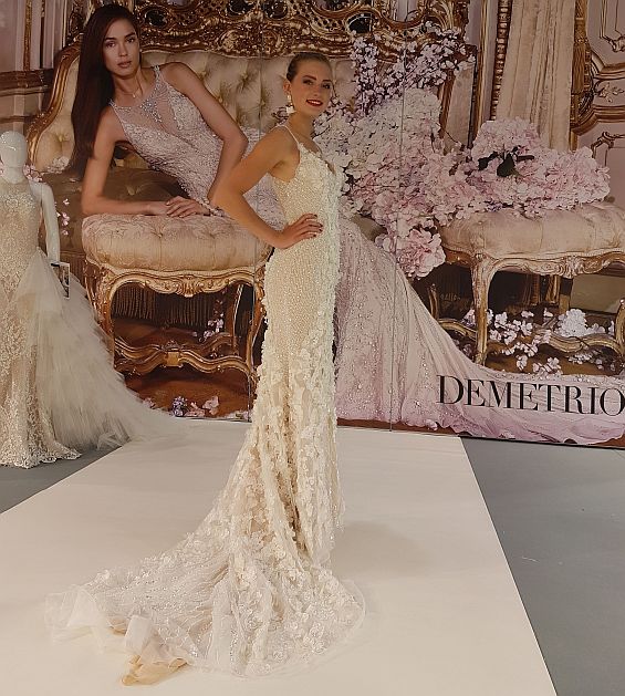 Hochzeitskleid Demetrios